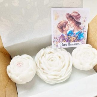 Cadeau fete des meres