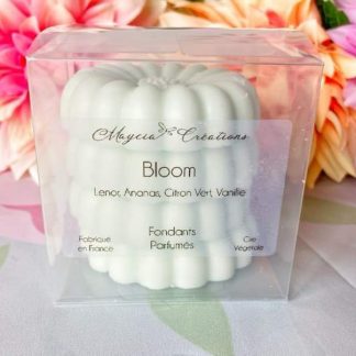 Fondants parfumés dupe lenor