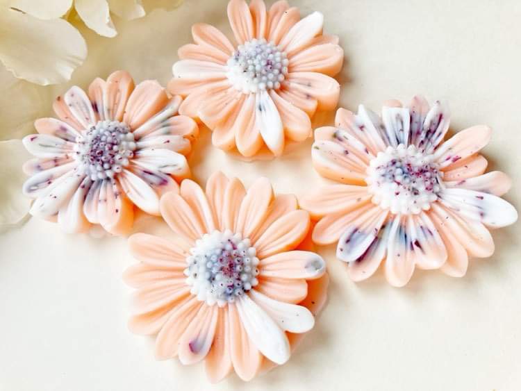 Pastèque Limonade – Image 3