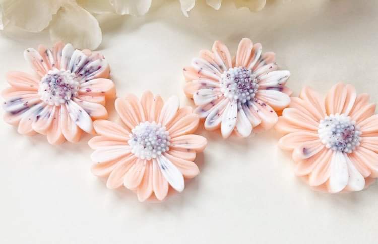 Pastèque Limonade – Image 6