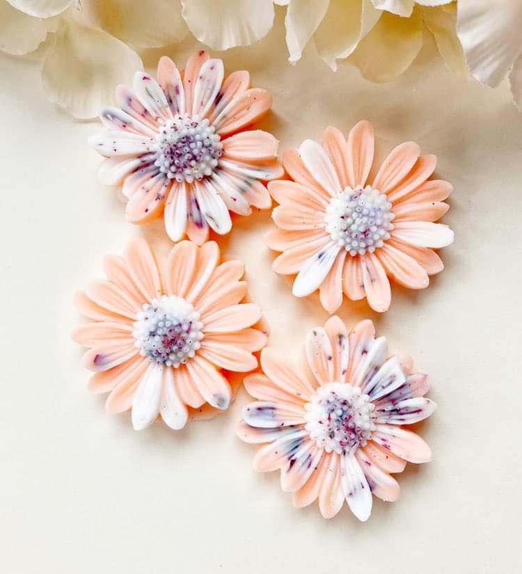 Pasteque Limonade fondants parfumées