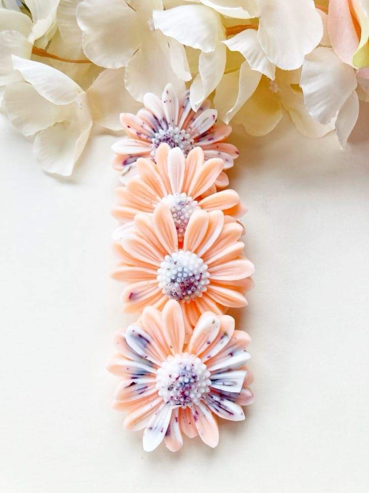 Pastèque Limonade – Image 5