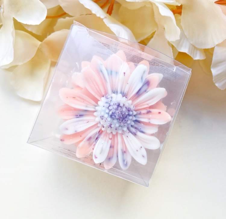 Pastèque Limonade – Image 7