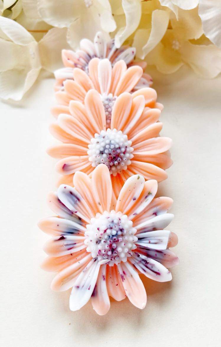 Pastèque Limonade – Image 2