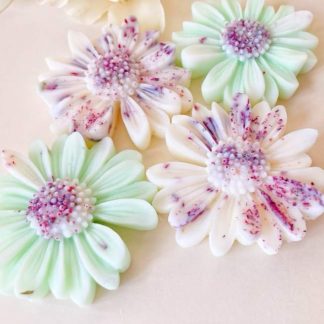 Noix de Coco & Citron Vert