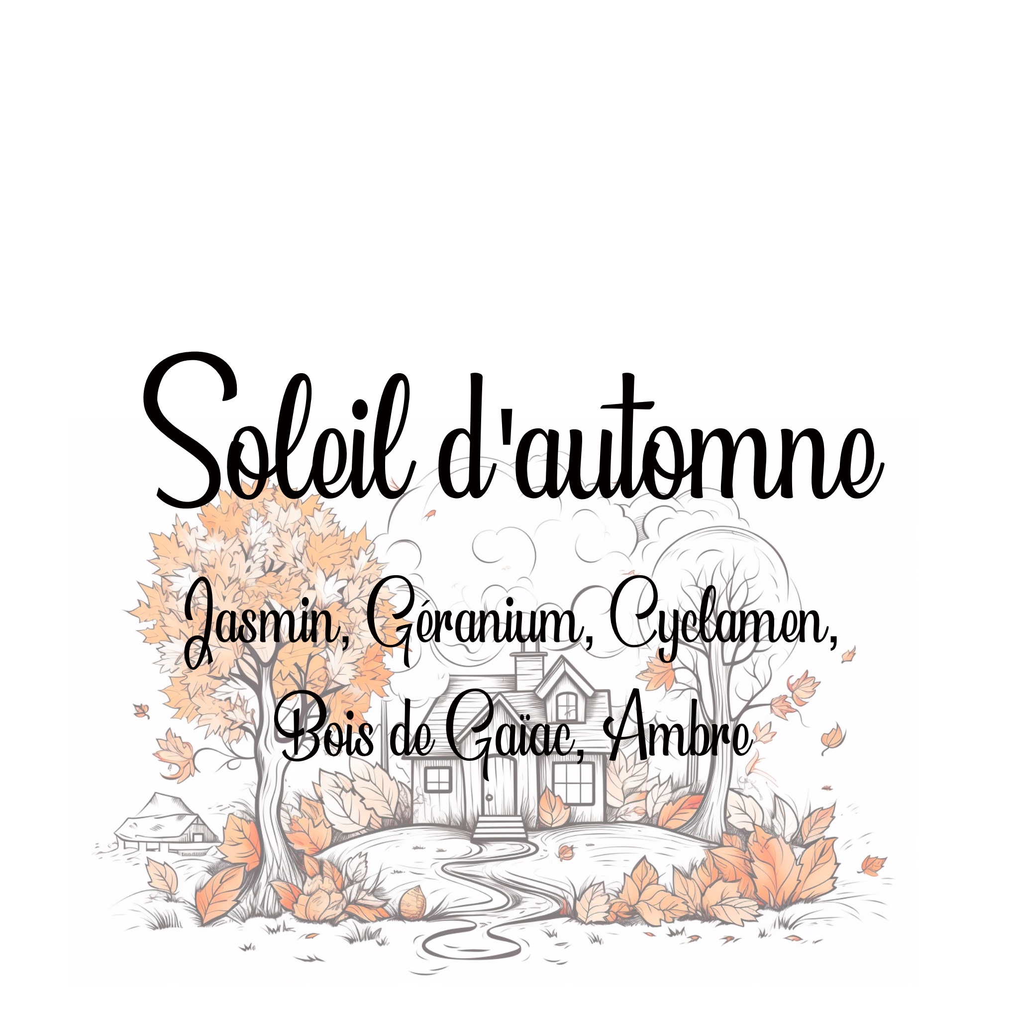 Fondants parfumées soleil automne – Image 2