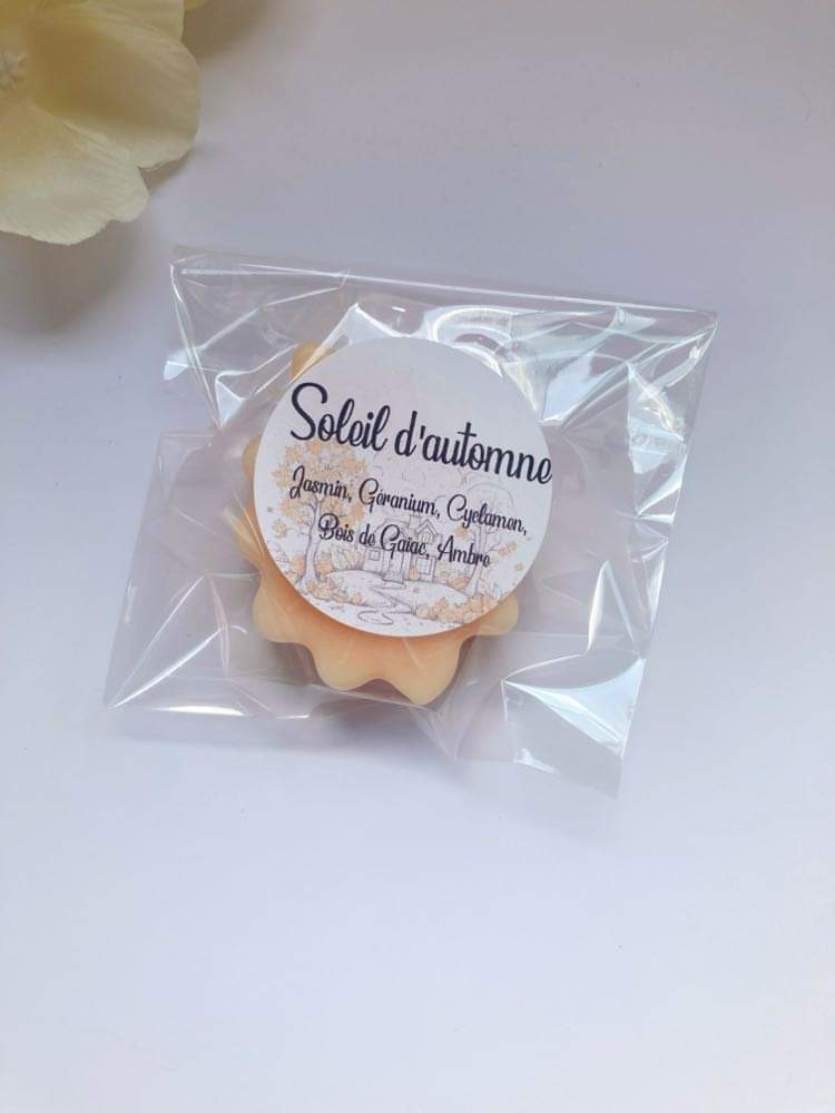 Fondants parfumées soleil automne – Image 4