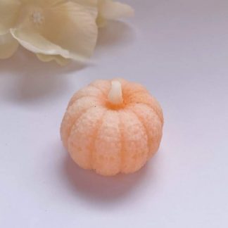 Fondants parfumées soleil automne