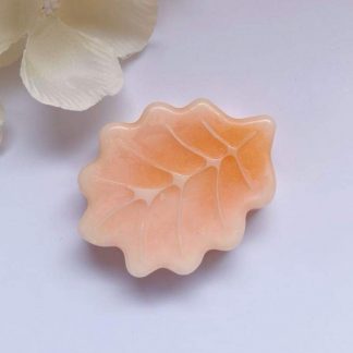 Fondants parfumées soleil automne