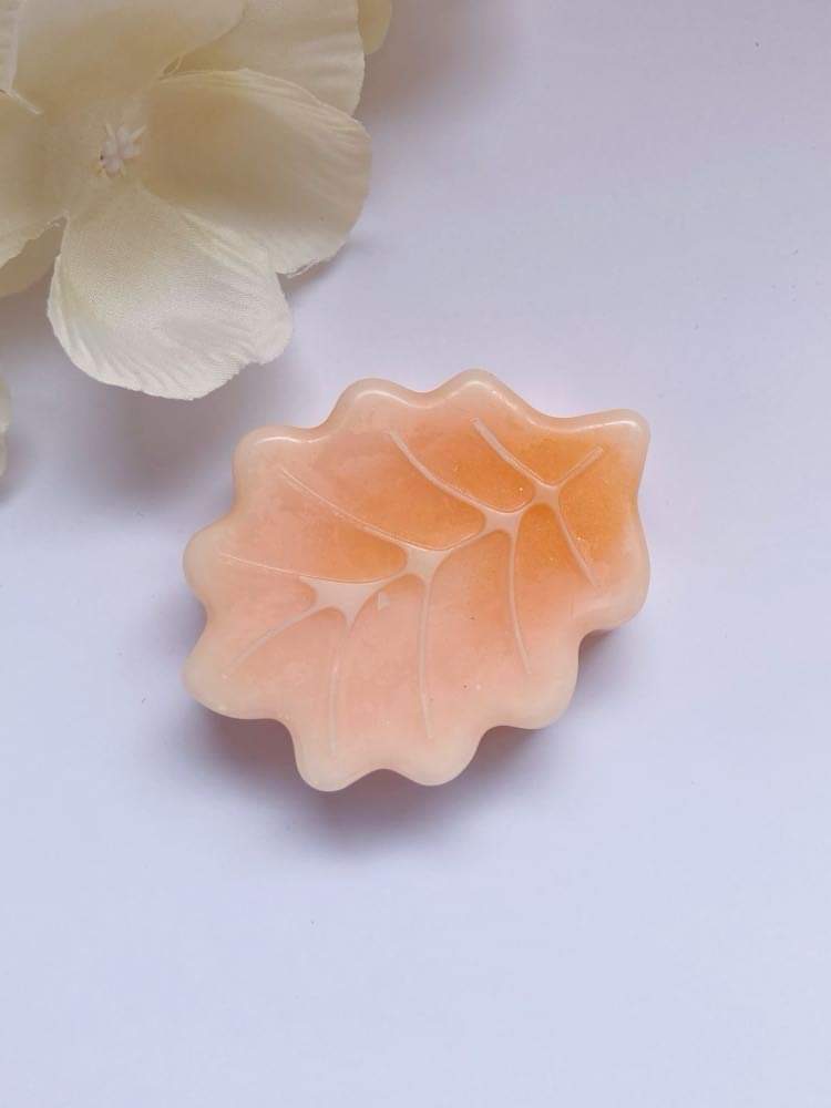 Fondants parfumées soleil automne